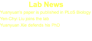 Lab News
Yuanyuan's paper is published in PLoS Biology
Yen-Chyi Liu joins the lab
Yuanyuan Xie defends his PhD 